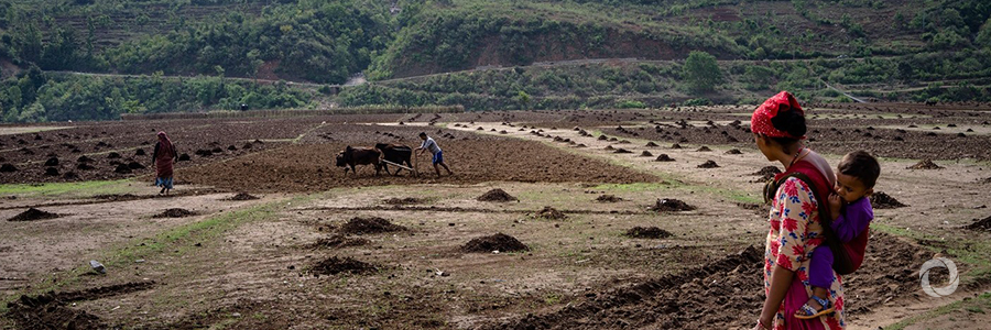 Regional Forum on Inclusive and Sustainable Rural Transformation - Asia Pacific Regional Forum on Inclusive and Sustainable Rural Transformation - Asia Pacific