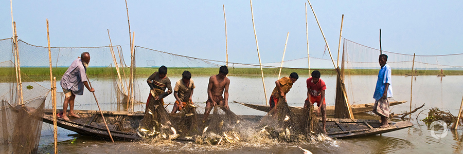 Bangladesh: World Bank helps improve coastal and marine fisheries
