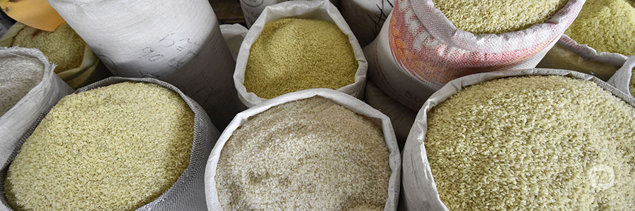 FAO Food Price Index down in September amid robust supplies FAO Food Price Index down in September amid robust supplies
