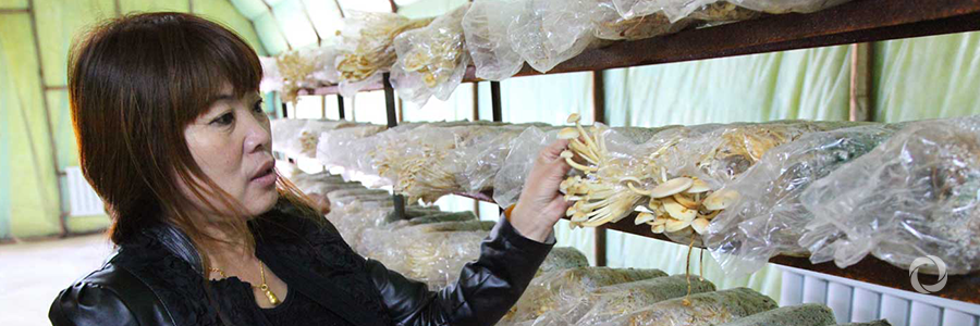 IFAD and China invest US$183.5 million to reduce rural poverty through agribusiness development IFAD and China invest US$183.5 million to reduce rural poverty through agribusiness development