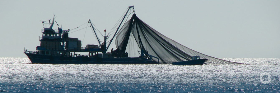 Deep-sea fisheries Deep-sea fisheries