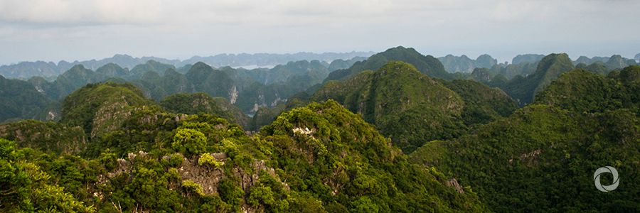EU and Vietnam sign an agreement for better enforcement of forest law, governance and trade EU and Vietnam sign an agreement for better enforcement of forest law, governance and trade