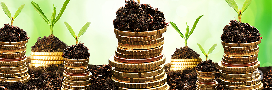 Technology support helps deliver millions in climate funding, emissions reductions Technology support helps deliver millions in climate funding, emissions reductions