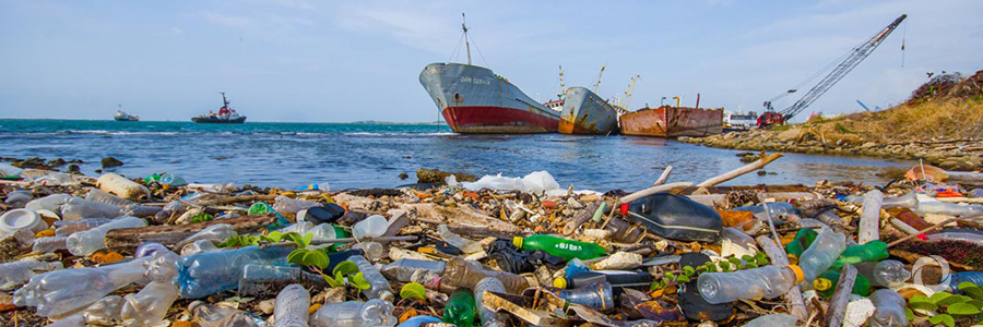 Blue Charter fellowships to drive research on ocean pollution Blue Charter fellowships to drive research on ocean pollution