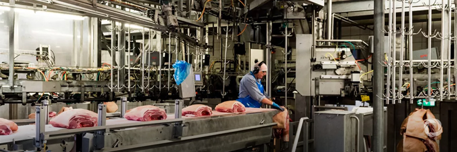Modern Slaughterhouse to Help Boost Afghanistan's Livestock, Agro-Industry