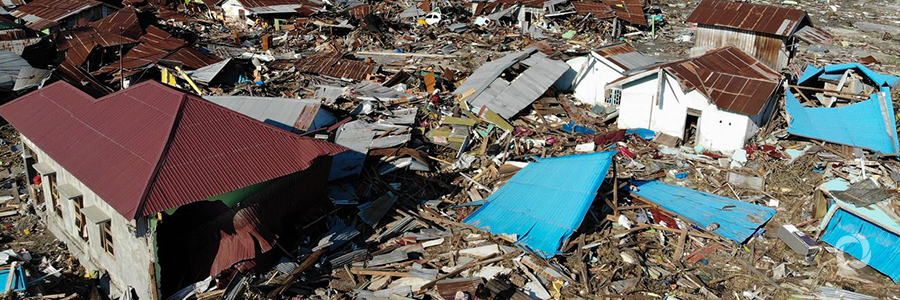 FAO helps Indonesian farmers and fishers recover after earthquake and tsunami