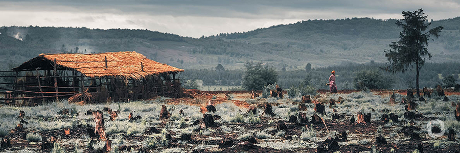 Why we need to protect biodiversity from harmful effects of war and armed conflict Why we need to protect biodiversity from harmful effects of war and armed conflict