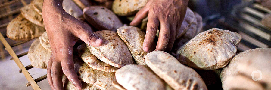 EBRD and EU improve Egypt’s wheat supply