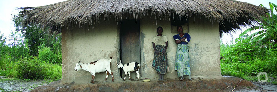 Peace and stability are not possible without rural development