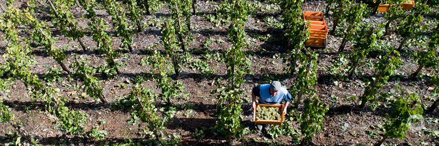 Empowering agripreneurs to adapt to climate change Empowering agripreneurs to adapt to climate change