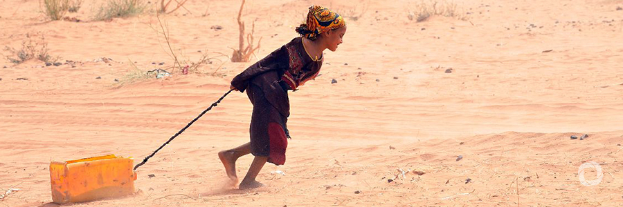 Building climate resilience and peace, go hand in hand for Africa’s Sahel