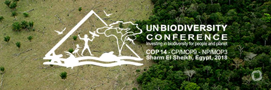 EU calls for renewed international action to protect nature on land and at sea EU calls for renewed international action to protect nature on land and at sea