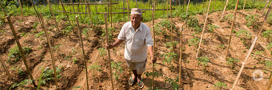 Climate change adaptation in the agriculture sector in Nepal Climate change adaptation in the agriculture sector in Nepal