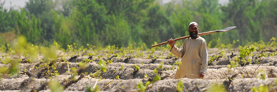 A new irrigation canal boosts Afghan farmers' production