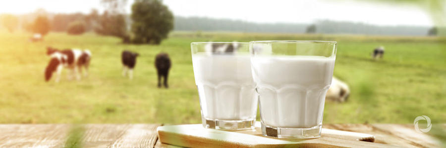 EBRD boosts Egyptian dairy sector EBRD boosts Egyptian dairy sector