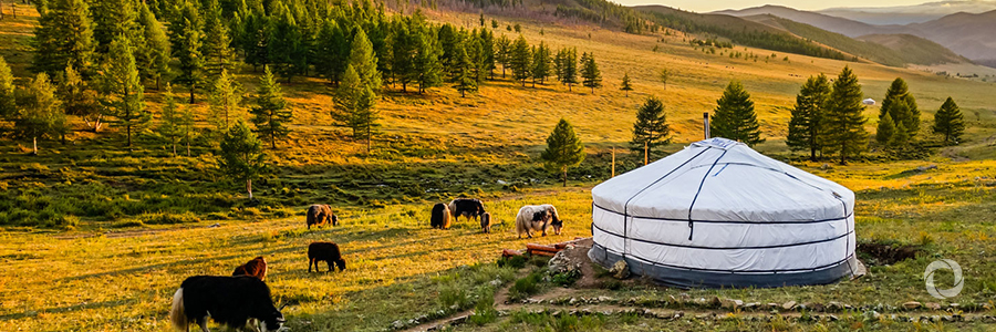 Assisting Mongolia on its path to economic recovery Assisting Mongolia on its path to economic recovery