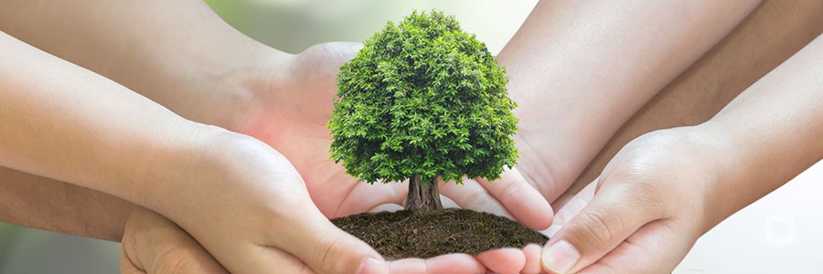 Future of our planet hinges on action by today’s youth