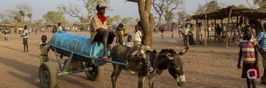 Netherlands contributes €8 million to rehabilitate and maintain roads in South Sudan Netherlands contributes €8 million to rehabilitate and maintain roads in South Sudan