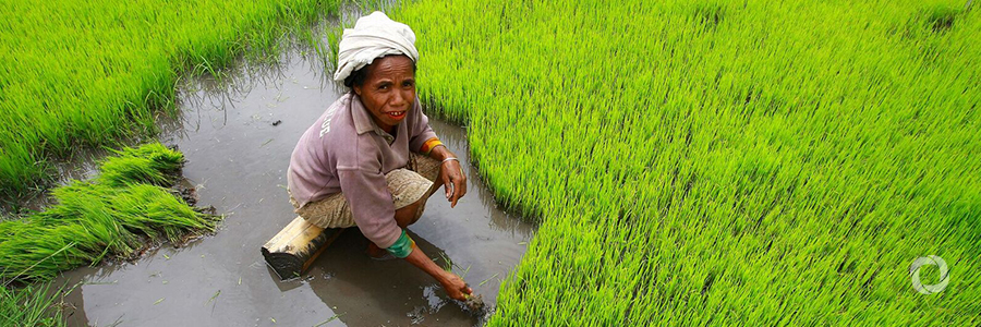 Germany partners with UNIDO to boost women empowerment in green industry; strengthen trade capacity building