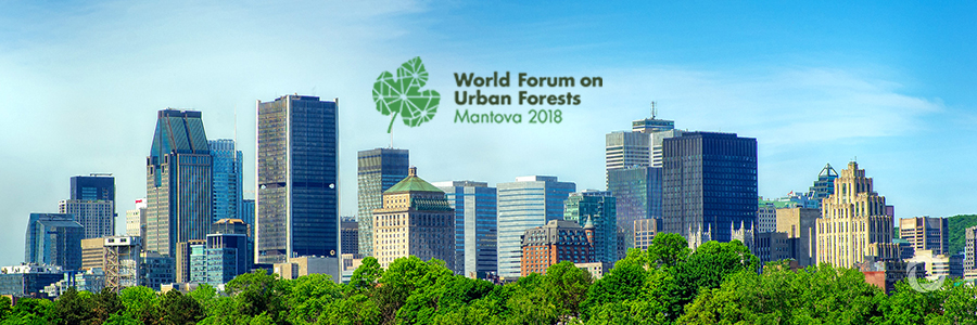 Treasuring trees to make cities greener and healthier Treasuring trees to make cities greener and healthier