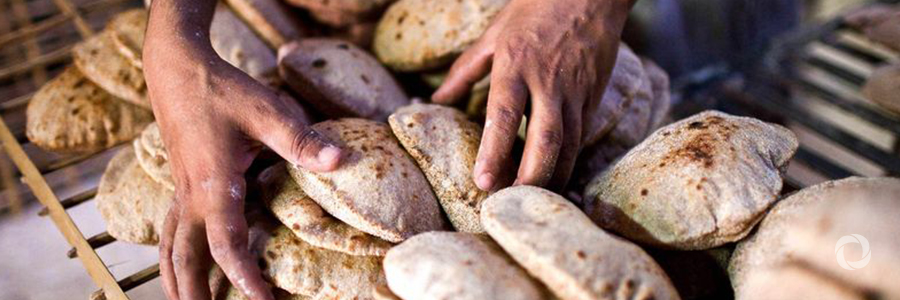 EBRD and EU improve Egypt’s wheat supply