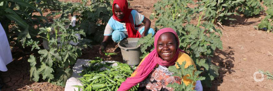 Water catchment project is expanded to aid peace and economic recovery in North Darfur Water catchment project is expanded to aid peace and economic recovery in North Darfur