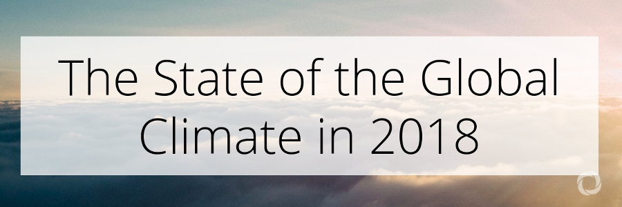 Climate change signals and impacts continue in 2018 DevelopmentAid