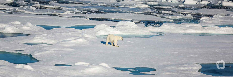 Pan-Arctic climate outlook forum forecasts above average temperatures Pan-Arctic climate outlook forum forecasts above average temperatures