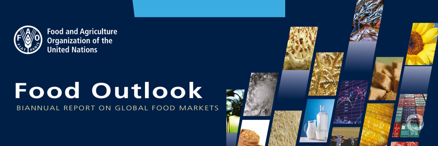 Declining international prices to ease food import burden for poorest countries Declining international prices to ease food import burden for poorest countries