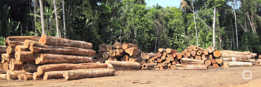 EU and Guyana join forces to combat illegal logging and promote trade in legal timber EU and Guyana join forces to combat illegal logging and promote trade in legal timber