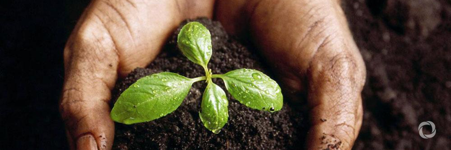 India is using soil protection practices to fight climate change India is using soil protection practices to fight climate change