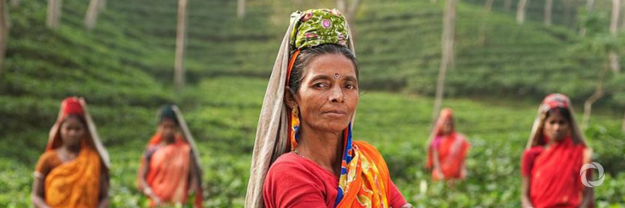 IFC, WEConnect International partner to boost market access for women entrepreneurs