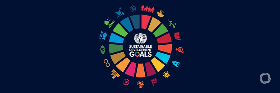 United Nations Secretary-General launches task force on digital financing of Sustainable Development Goals United Nations Secretary-General launches task force on digital financing of Sustainable Development Goals