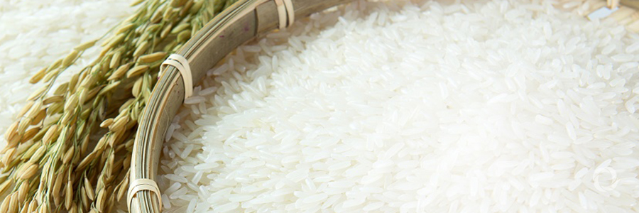 Scientists develop new 'climate proof' crops with help of nuclear technology Scientists develop new 'climate proof' crops with help of nuclear technology