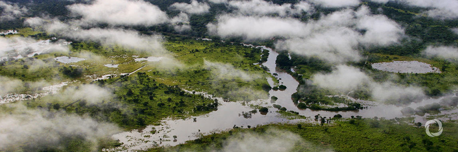 EU steps up support for the Congo Basin, a unique ecosystem