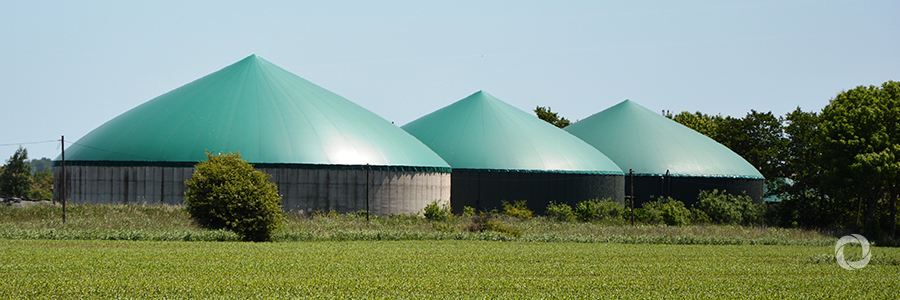 New biogas plant to be built in Ukraine New biogas plant to be built in Ukraine