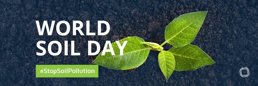 World Soil Day World Soil Day