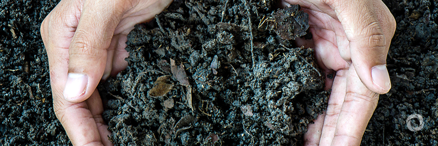 How can nuclear techniques be the solution to soil pollution and increased productivity? How can nuclear techniques be the solution to soil pollution and increased productivity?