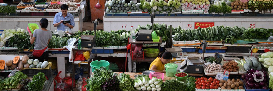 FAO Food Price Index declines in November FAO Food Price Index declines in November