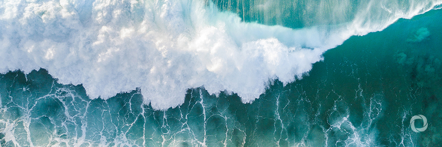 Commonwealth ocean action gains traction at COP24 Commonwealth ocean action gains traction at COP24