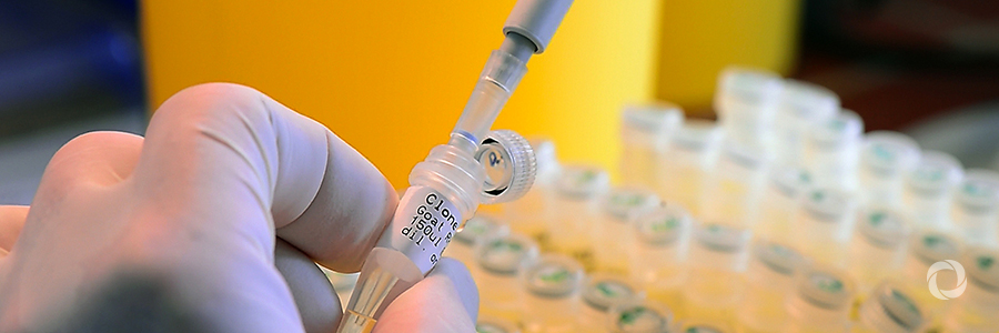 Using nuclear science to control animal diseases Using nuclear science to control animal diseases