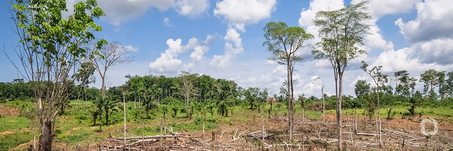 FAO urges to scale up response to climate change in agricultural sectors FAO urges to scale up response to climate change in agricultural sectors