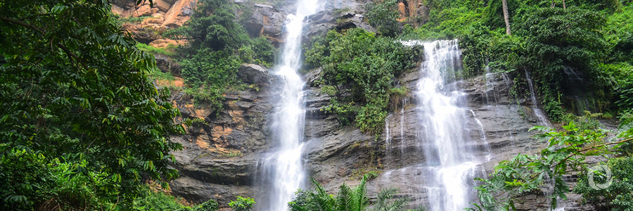 India-UN Fund approves initiative to enhance livelihoods while strengthening biodiversity in Togo India-UN Fund approves initiative to enhance livelihoods while strengthening biodiversity in Togo