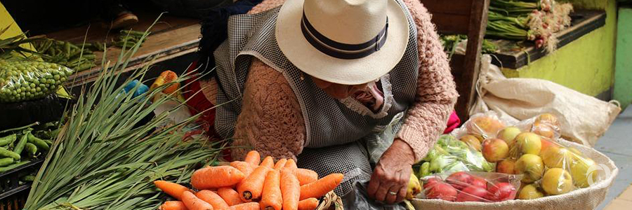 EU action in global food and nutrition security