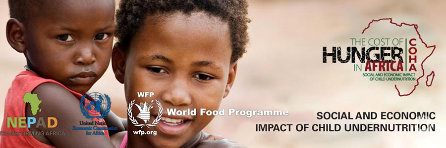 Niger joins call for increased efforts to end the plight of child under nutrition Niger joins call for increased efforts to end the plight of child under nutrition