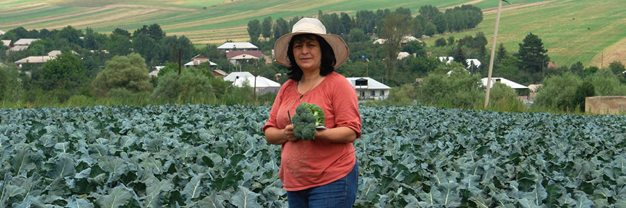 Women entrepreneurs are agents of growth in Armenia's SME sector Women entrepreneurs are agents of growth in Armenia's SME sector