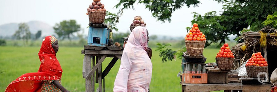 African Development Bank approves US$75 million to transform Sudan's food and agriculture African Development Bank approves US$75 million to transform Sudan's food and agriculture