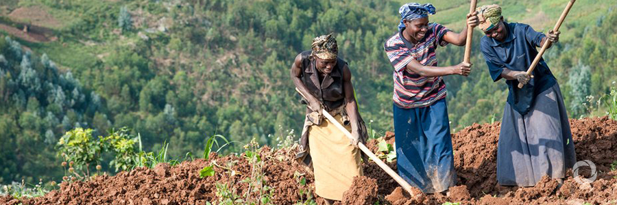 UN rights chief welcomes new text to protect rights of peasants and other rural workers UN rights chief welcomes new text to protect rights of peasants and other rural workers