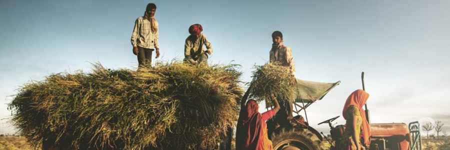 FAO hails landmark UN resolution that enshrines rights of peasants and rural workers FAO hails landmark UN resolution that enshrines rights of peasants and rural workers