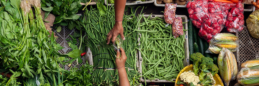 IFAD welcomes the European Union’s commitment to a new impact fund targeting small agribusinesses across emerging markets